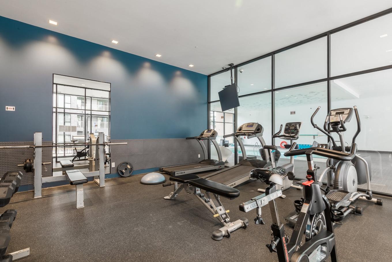 Salle d'exercice - 1201-170 Rue Rioux, Montréal (Le Sud-Ouest), QC - Indoor Photo Showing Gym Room