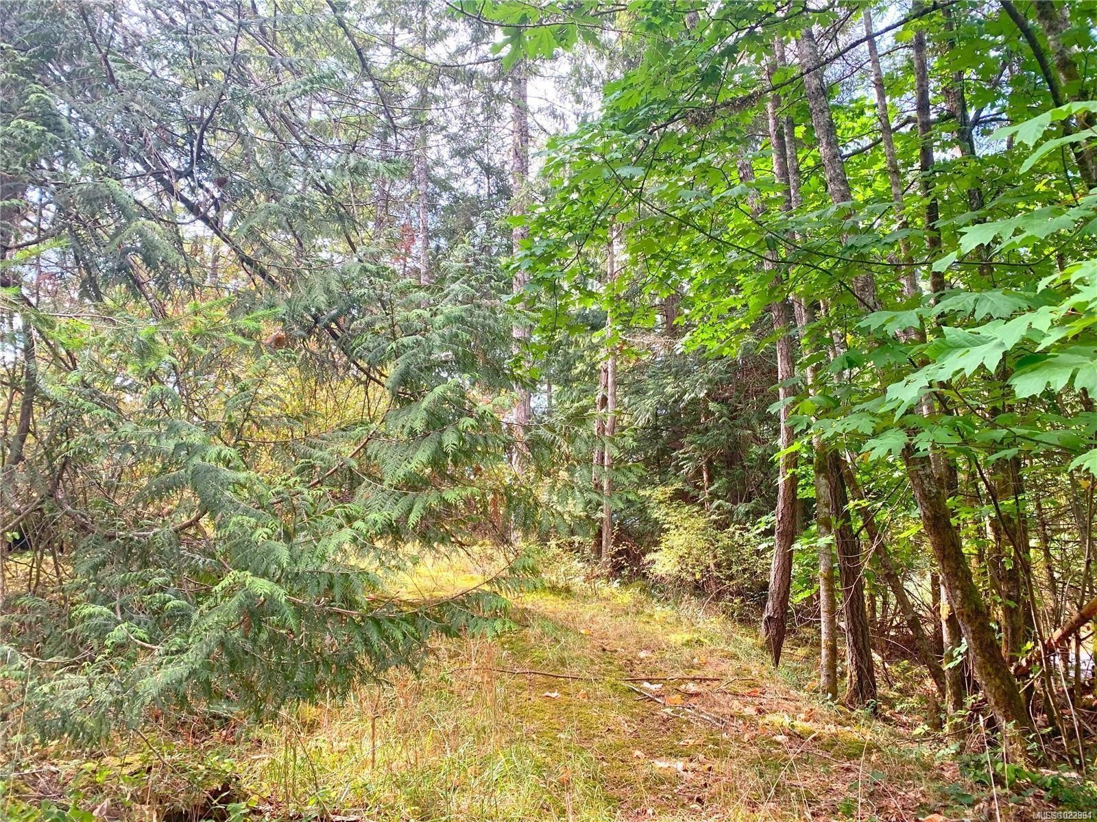 121 Whims Rd, Salt Spring, BC