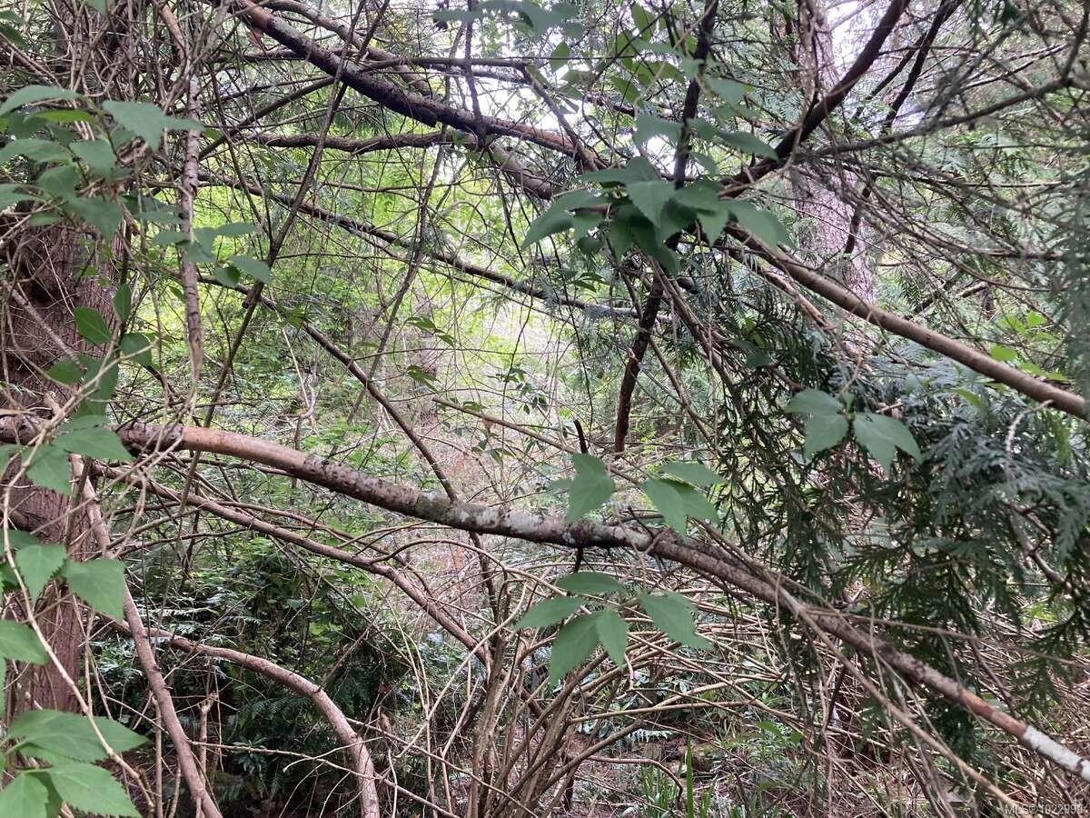 2364 French Rd, Sooke, BC