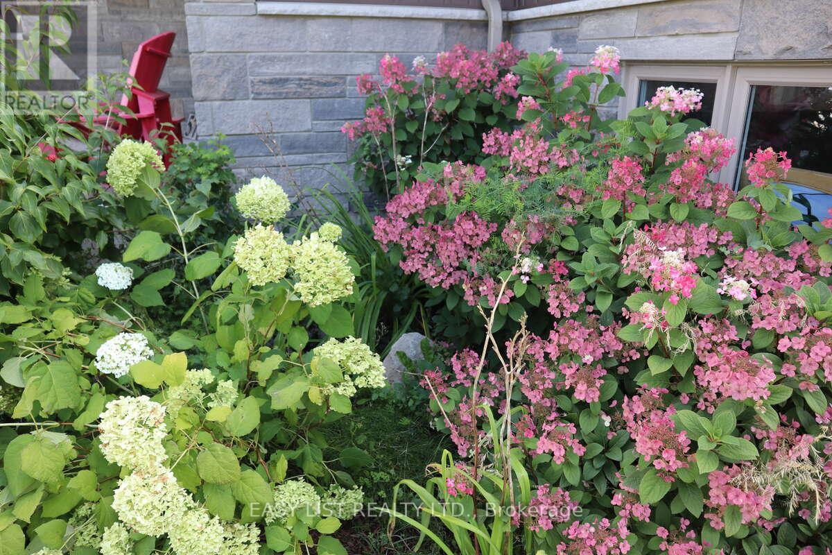 57 Chestnut Hill Crescent, Arran-Elderslie, ON - Outdoor