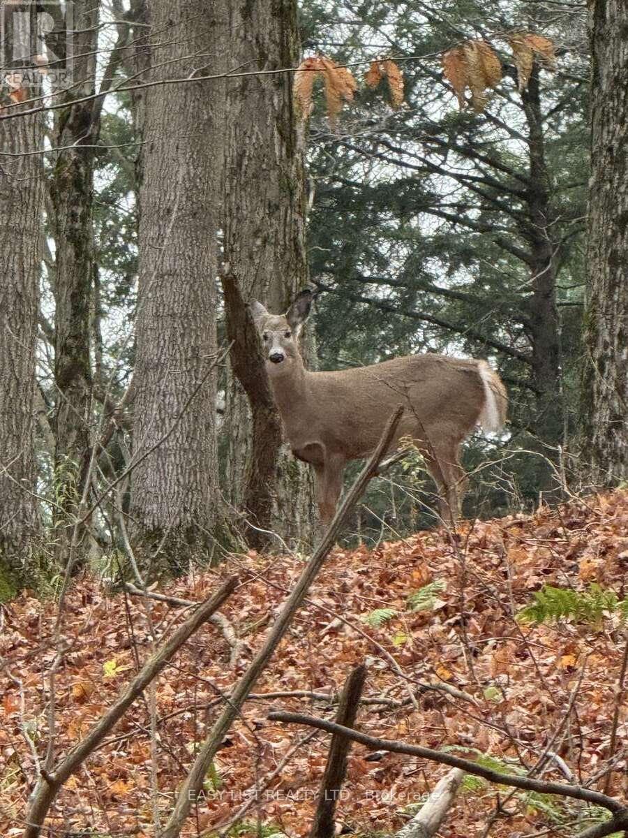 1078 Berletts Road, Wilmot, ON - Outdoor With View
