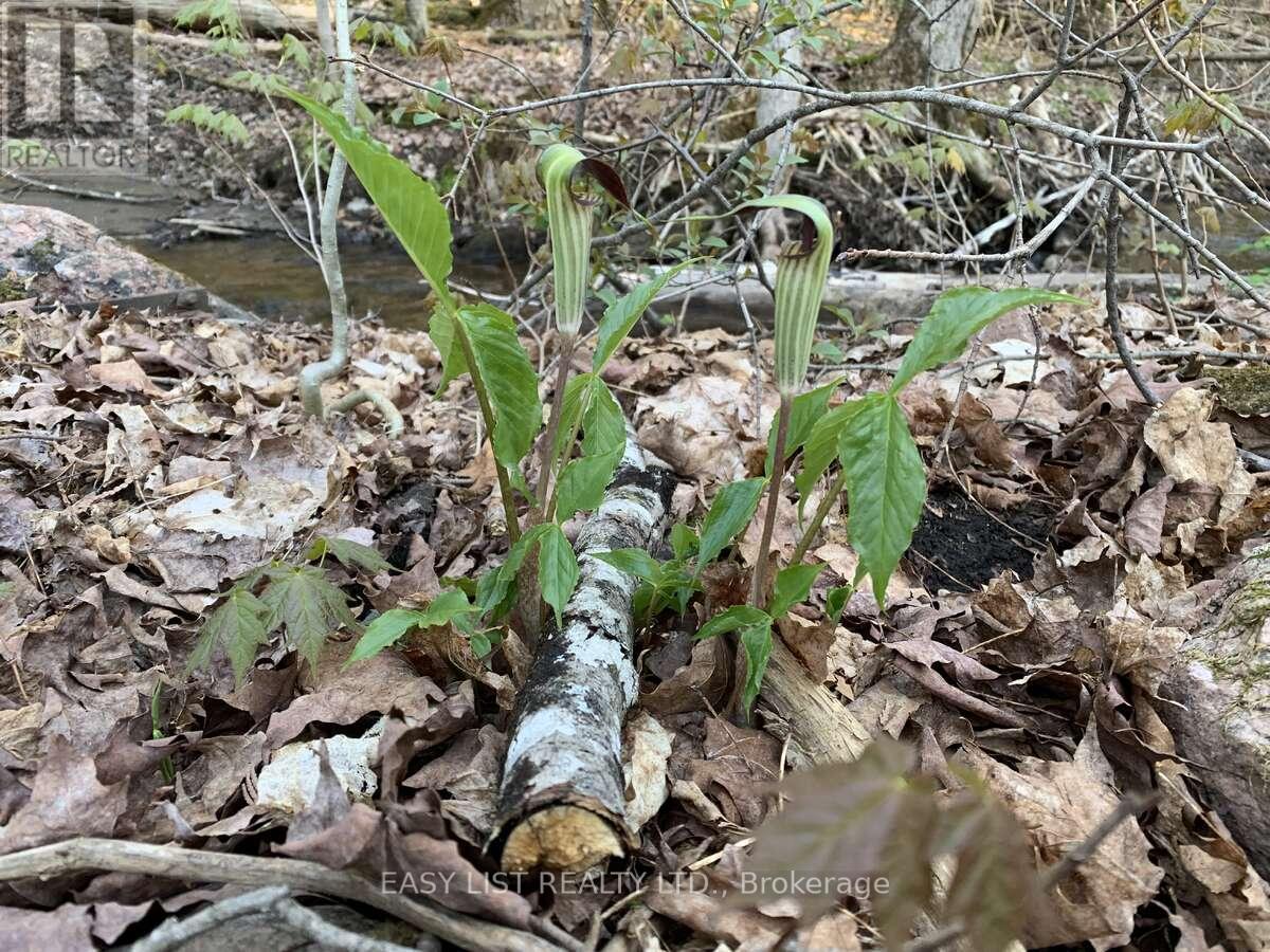 Lot 1 Colonial Road, Minden Hills, ON