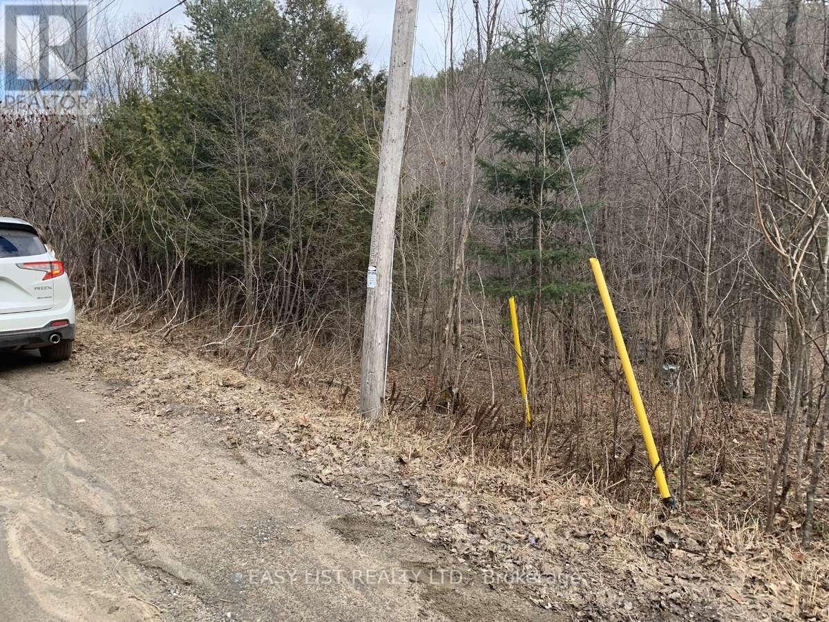Lot 1 Colonial Road, Minden Hills, ON