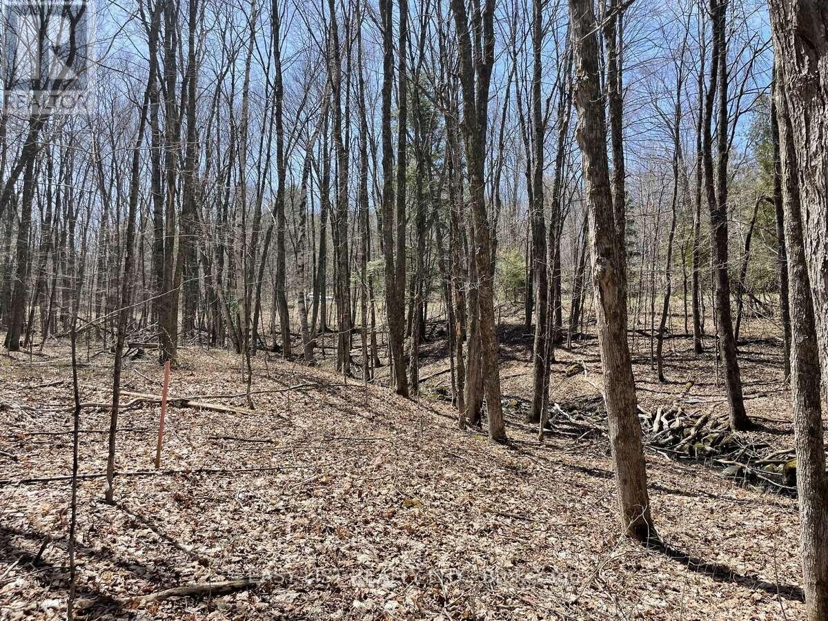 Lot 1 Colonial Road, Minden Hills, ON