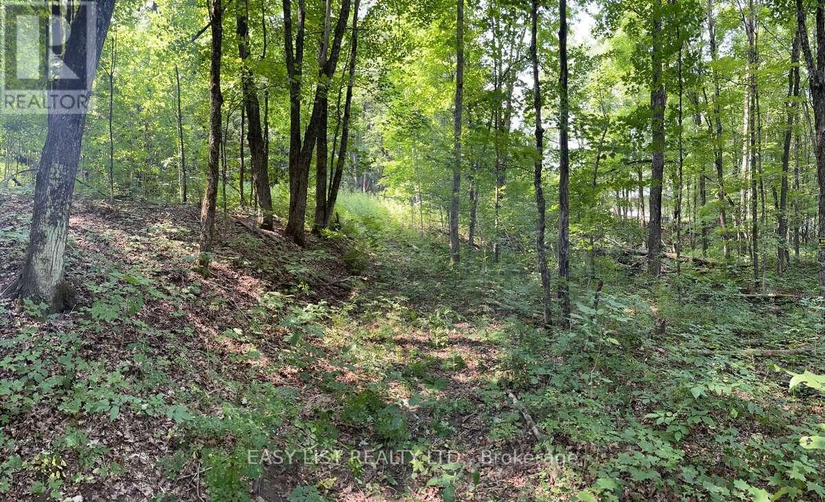 Lot 1 Colonial Road, Minden Hills, ON