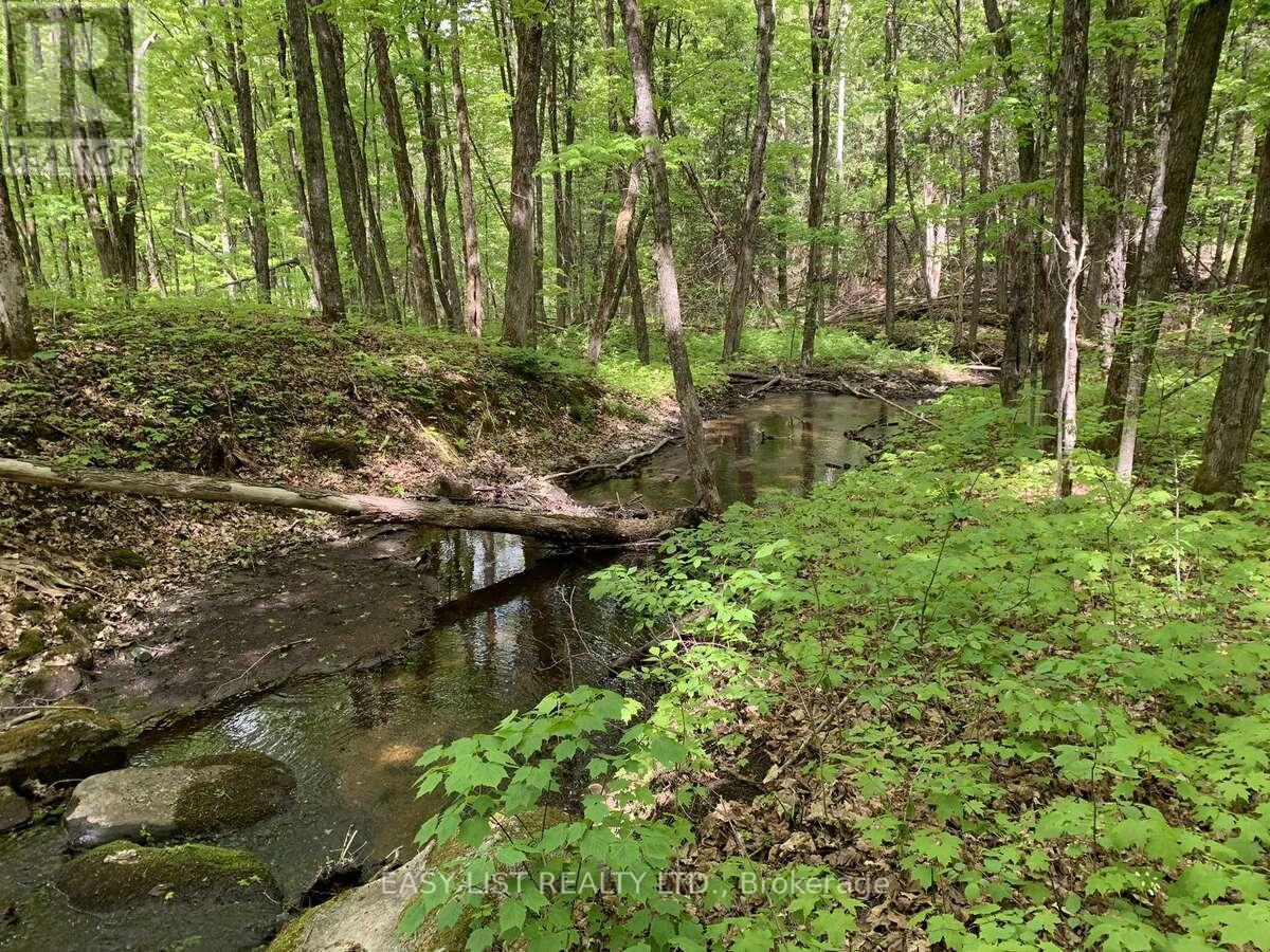 Lot 1 Colonial Road, Minden Hills, ON