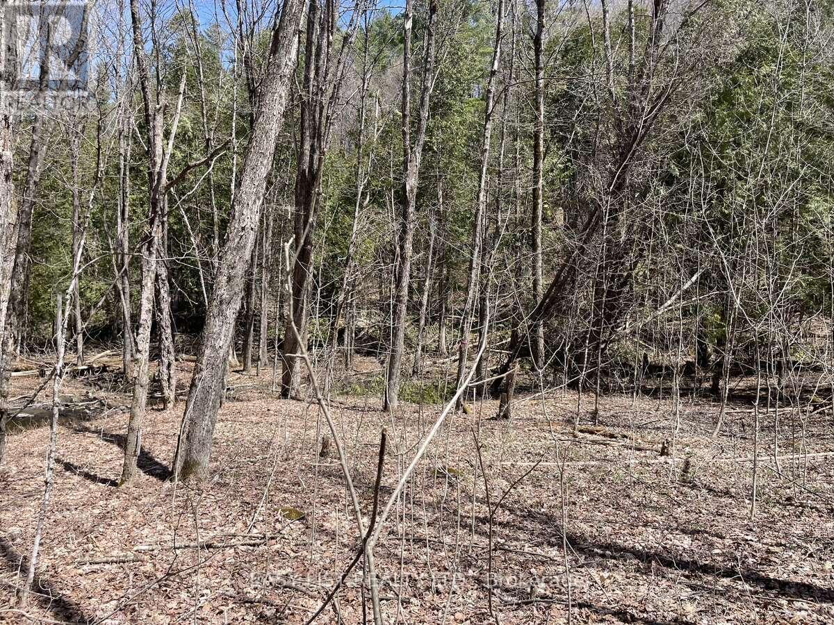 Lot 1 Colonial Road, Minden Hills, ON