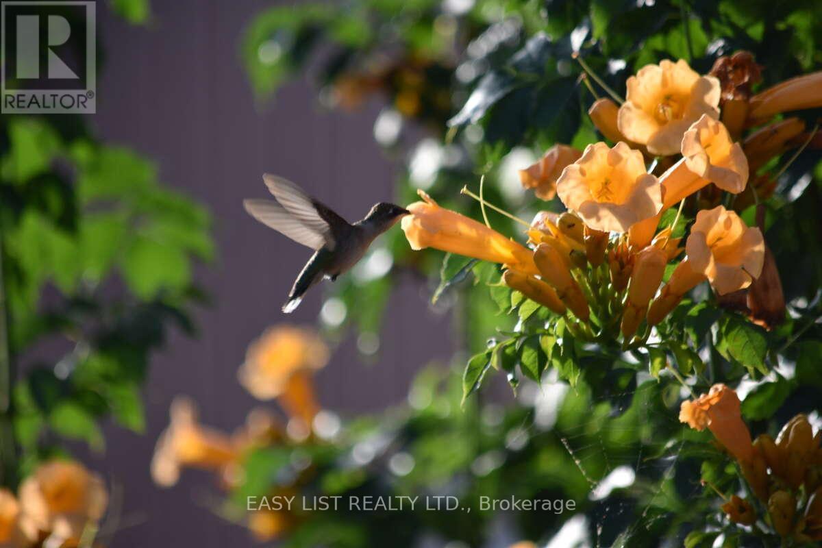 7652 Harris Point Drive, Plympton-Wyoming, ON - Outdoor With View