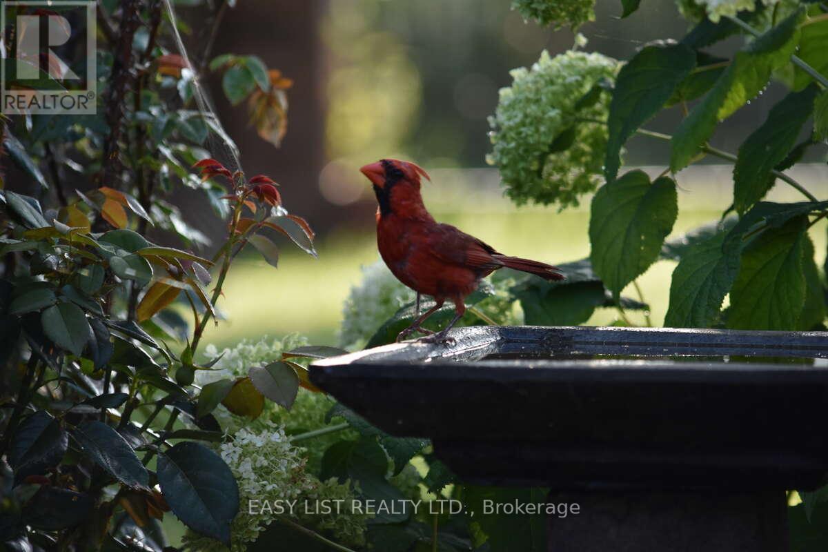 7652 Harris Point Drive, Plympton-Wyoming, ON - Other