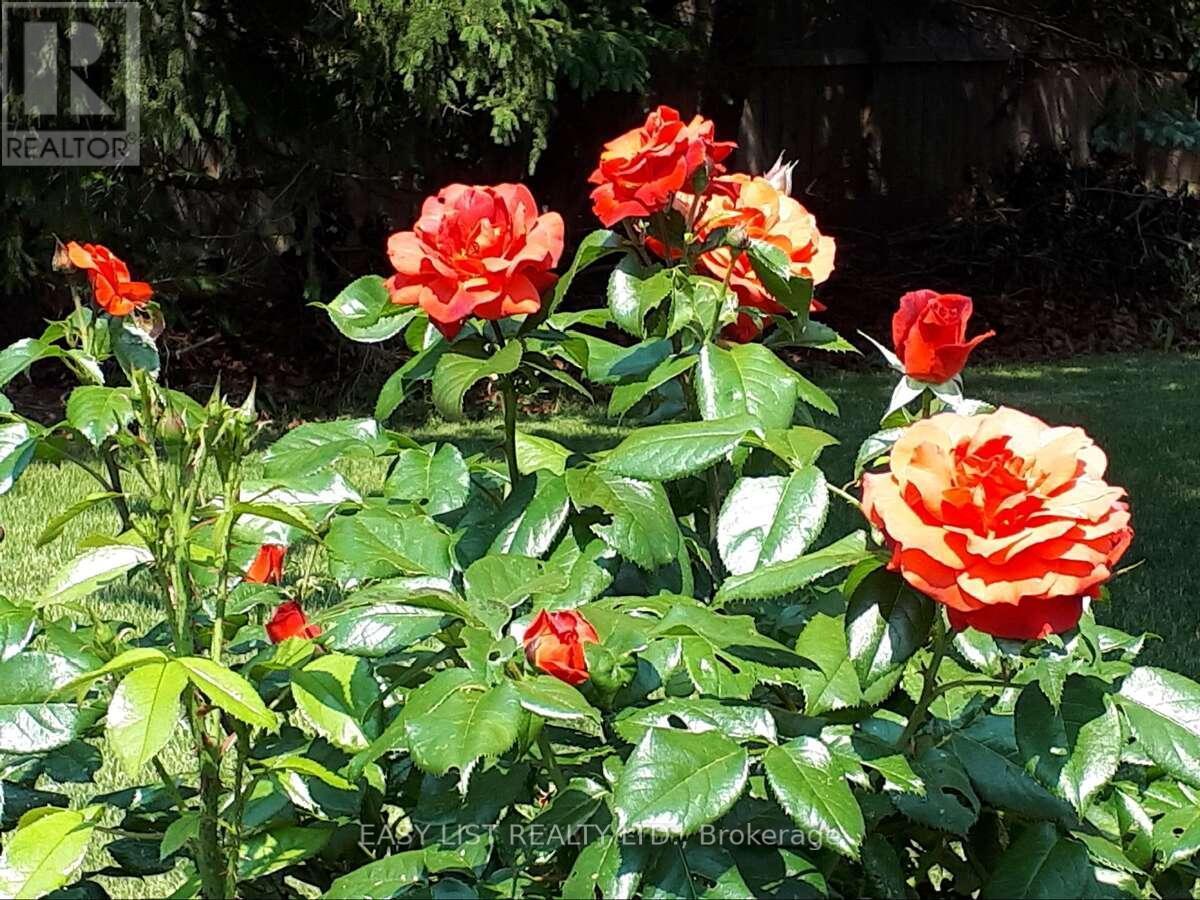 7652 Harris Point Drive, Plympton-Wyoming, ON - Outdoor