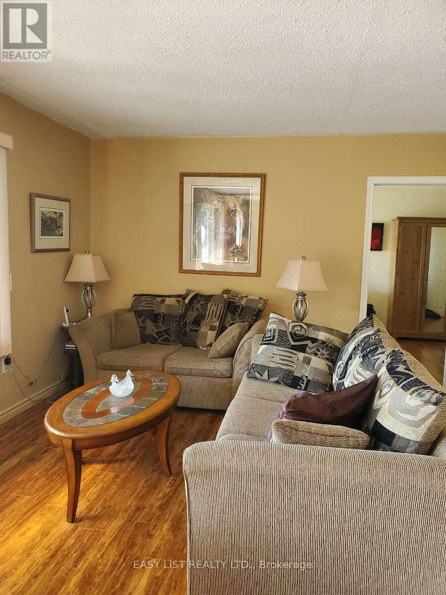 16 Fire Route 122, Trent Lakes, ON - Indoor Photo Showing Living Room