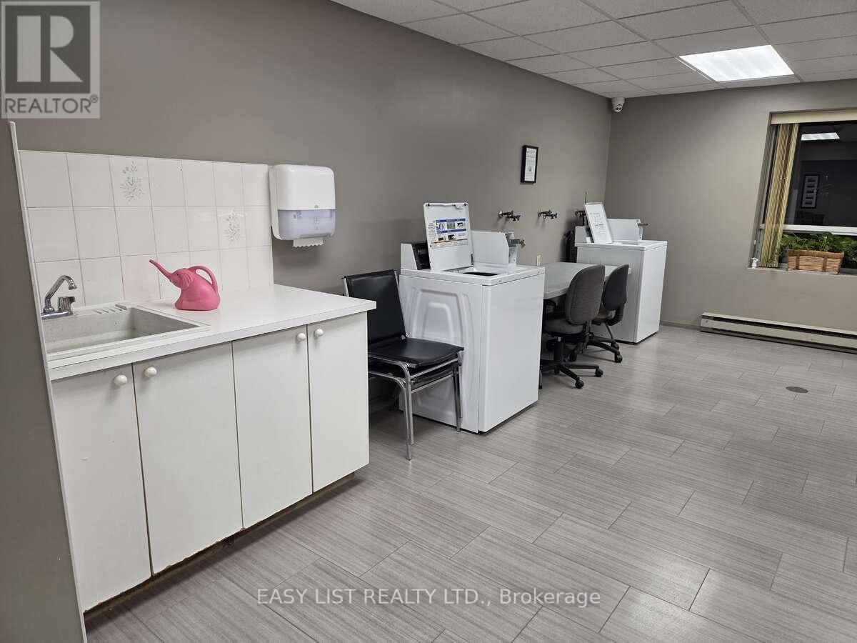 203 - 155 Main Street N, Newmarket, ON - Indoor Photo Showing Laundry Room