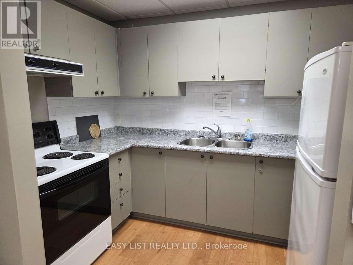 203 - 155 Main Street N, Newmarket, ON - Indoor Photo Showing Kitchen With Double Sink