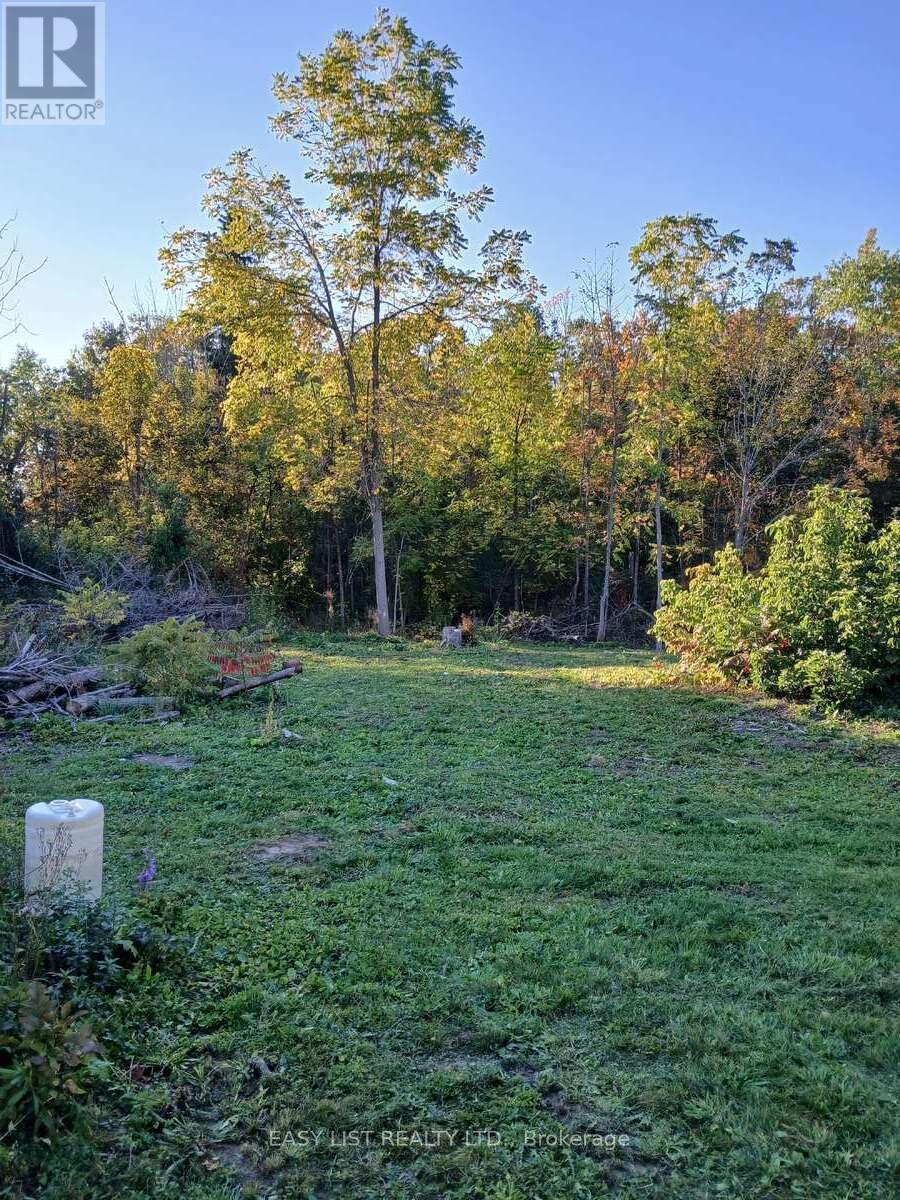 49 Clifton Street, Kawartha Lakes, ON