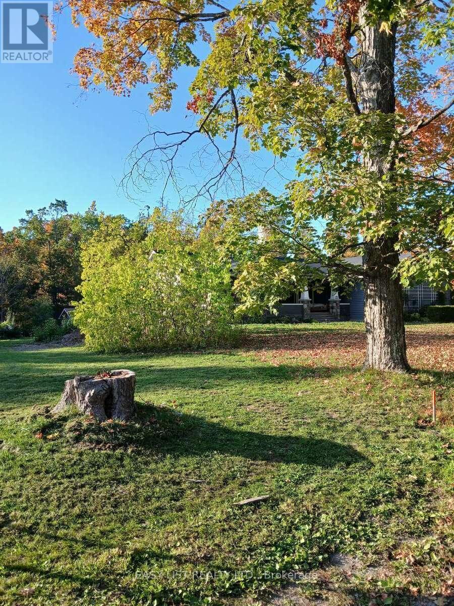 49 Clifton Street, Kawartha Lakes, ON