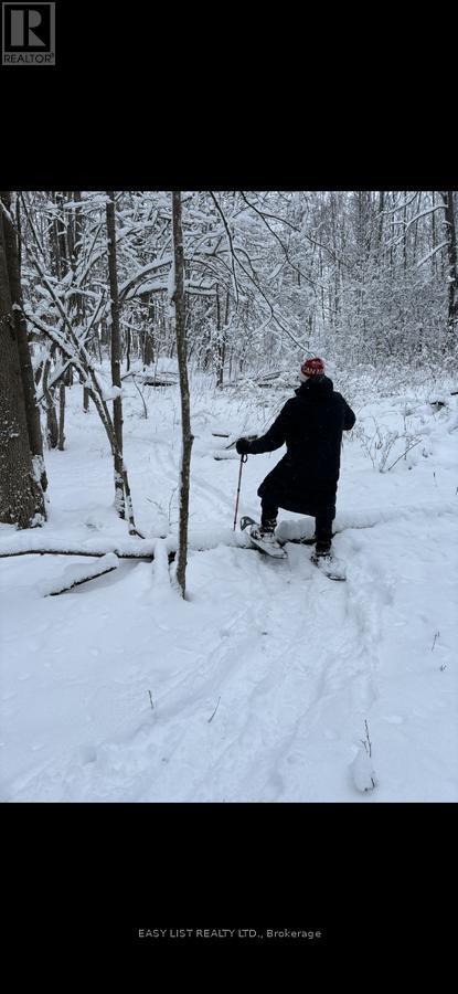 2 Joanne Crescent, Minto, ON - Outdoor With View