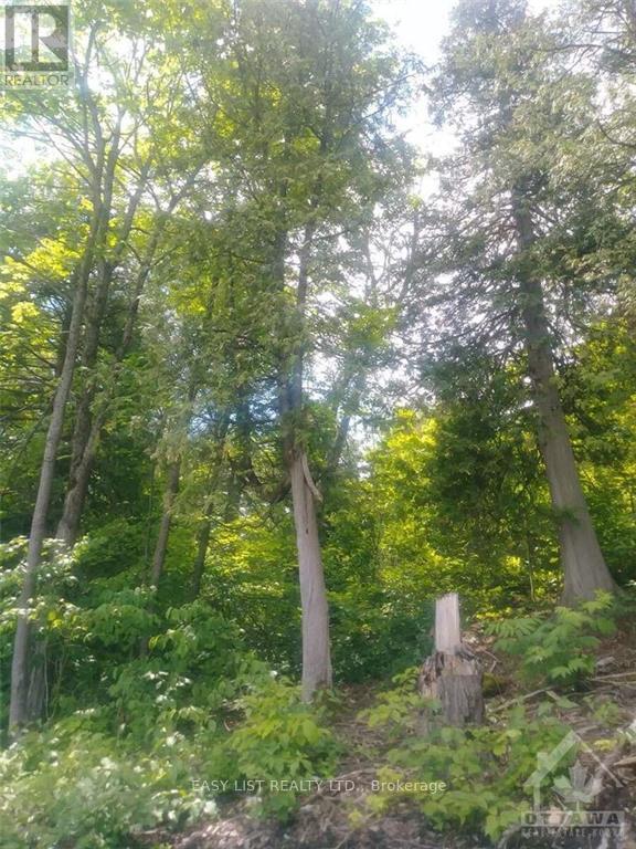 00 River Road, Mcnab/Braeside, ON