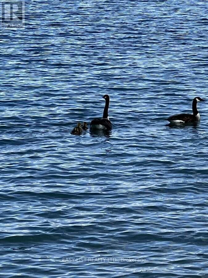 1758 River Road N, Chatham-Kent, ON - Outdoor With Body Of Water With View