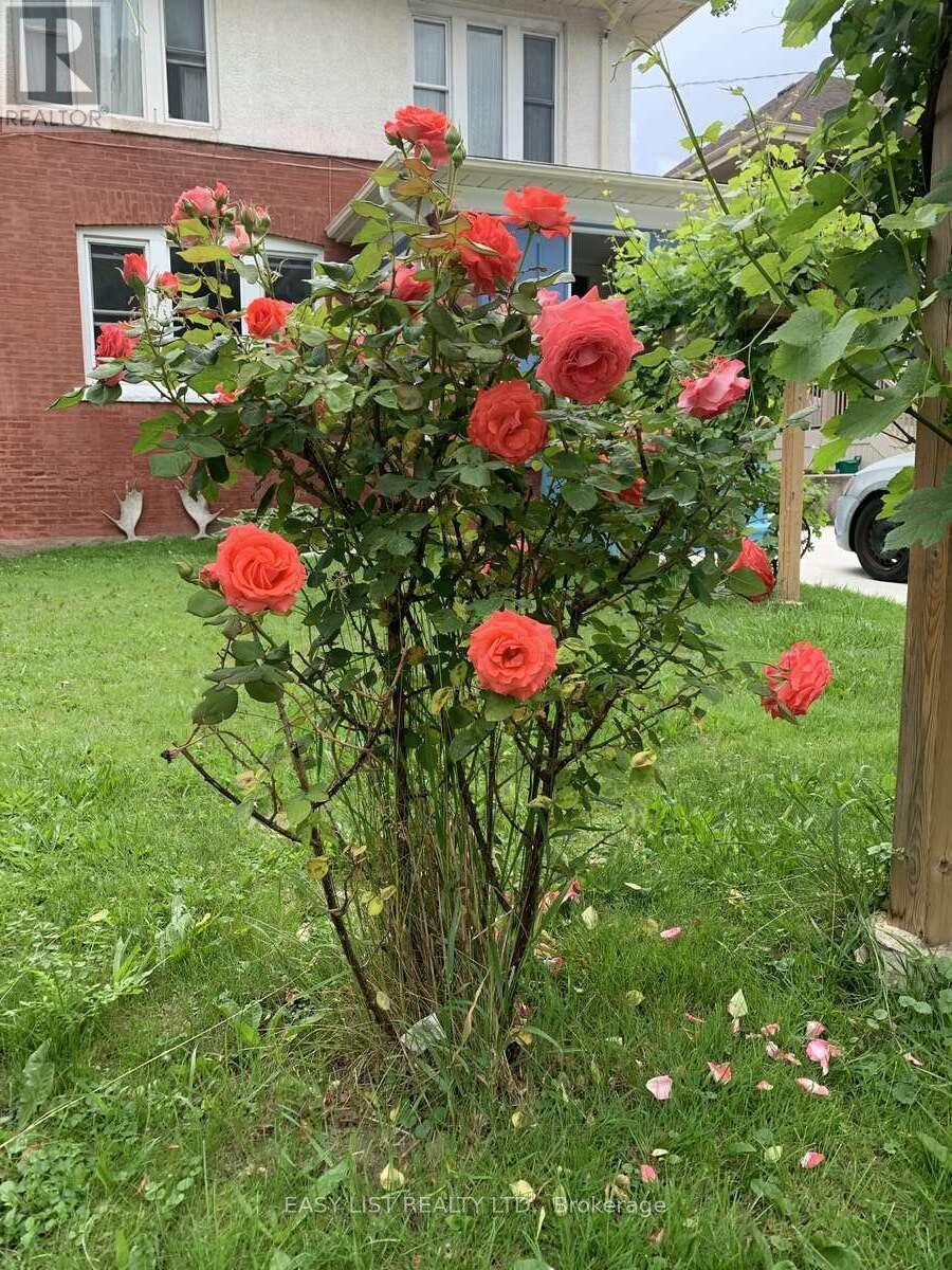 4322 Bampfield Street, Niagara Falls, ON - Outdoor