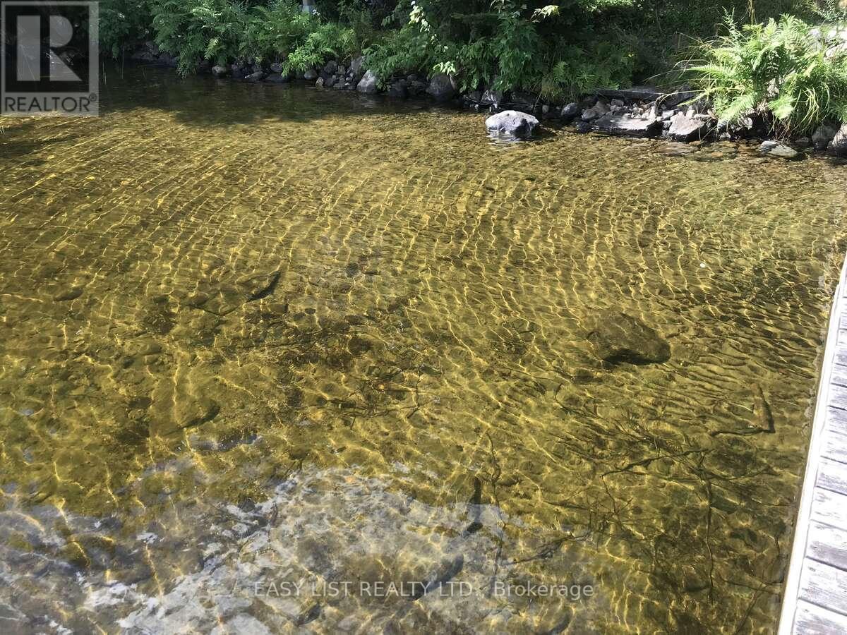 61 Maple Drive, Perry, ON - Outdoor