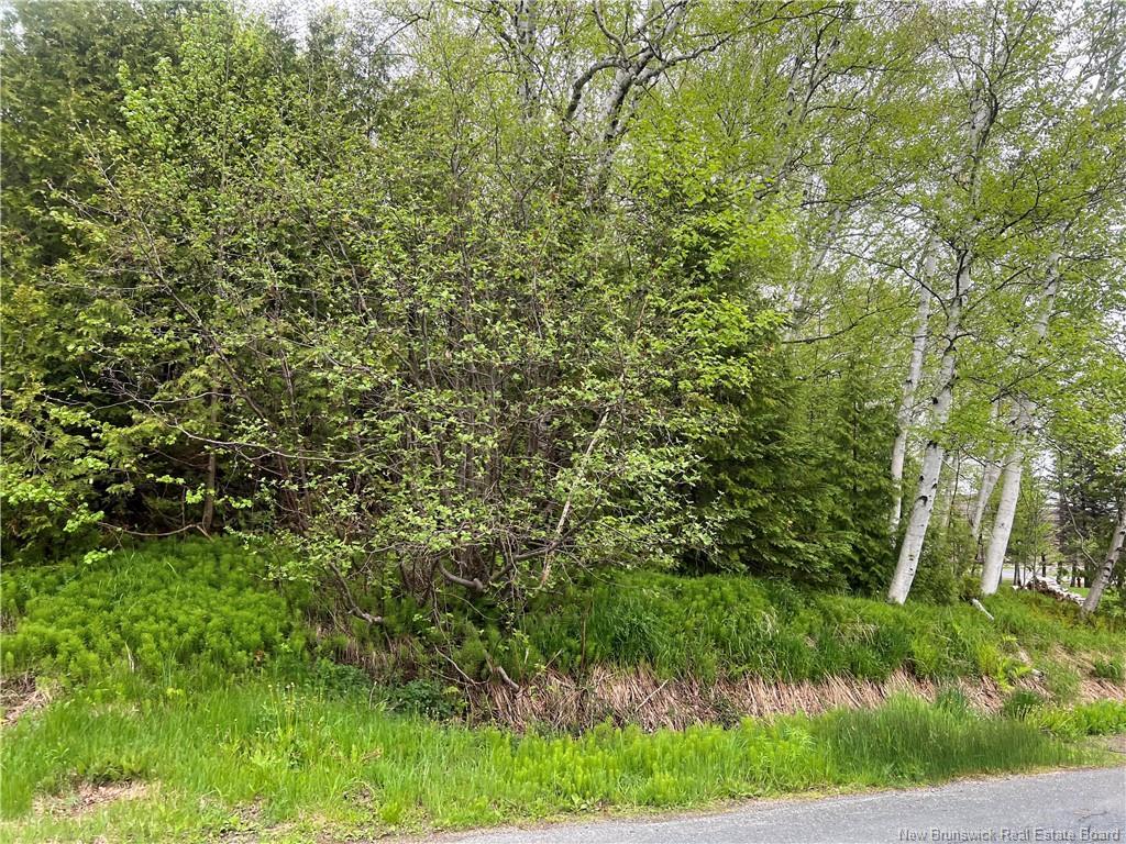 1920 Alex Anderson Ave, Bathurst, NB