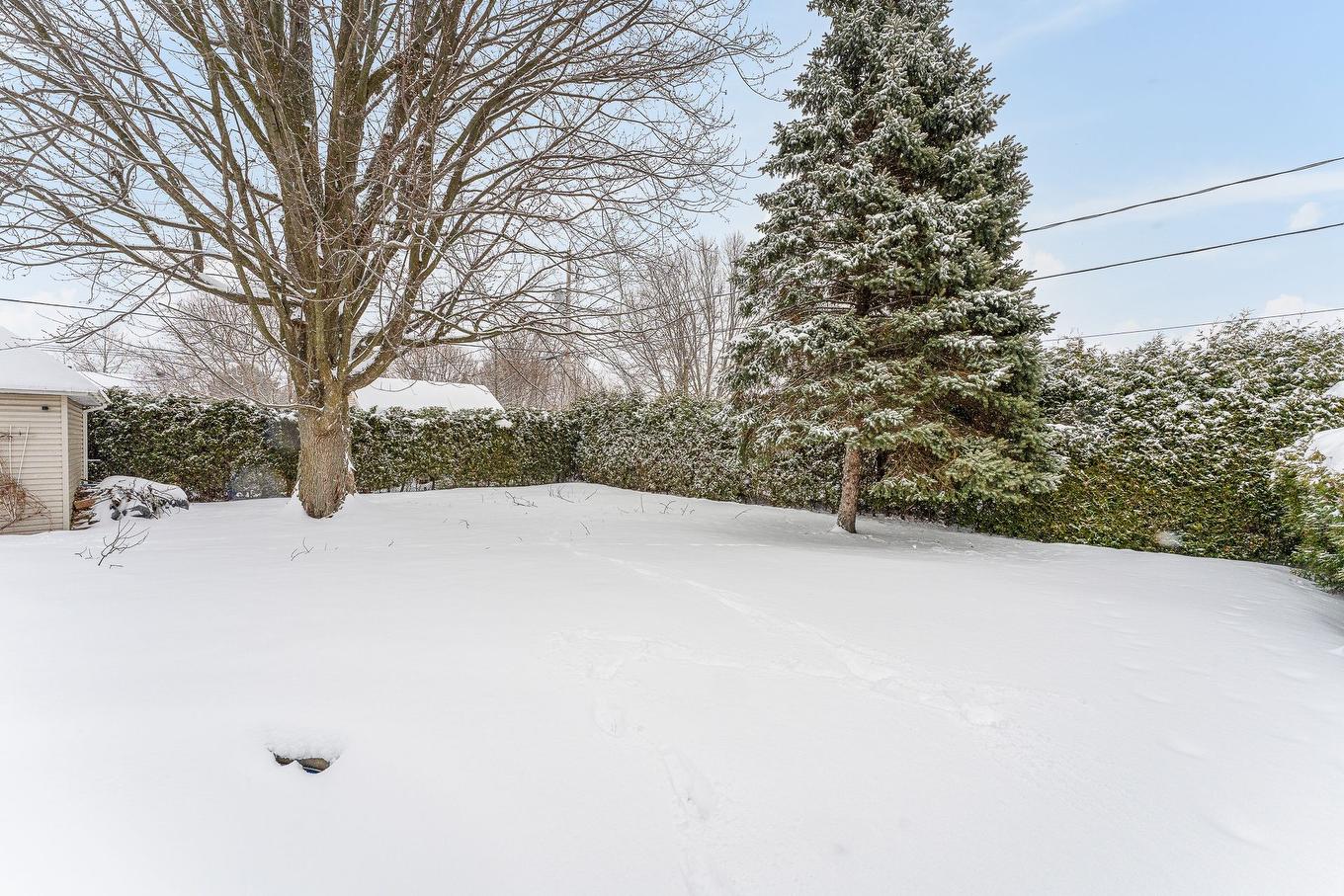 Terre/Terrain - 135 Rue Des Citadins S., Farnham, QC - Outdoor