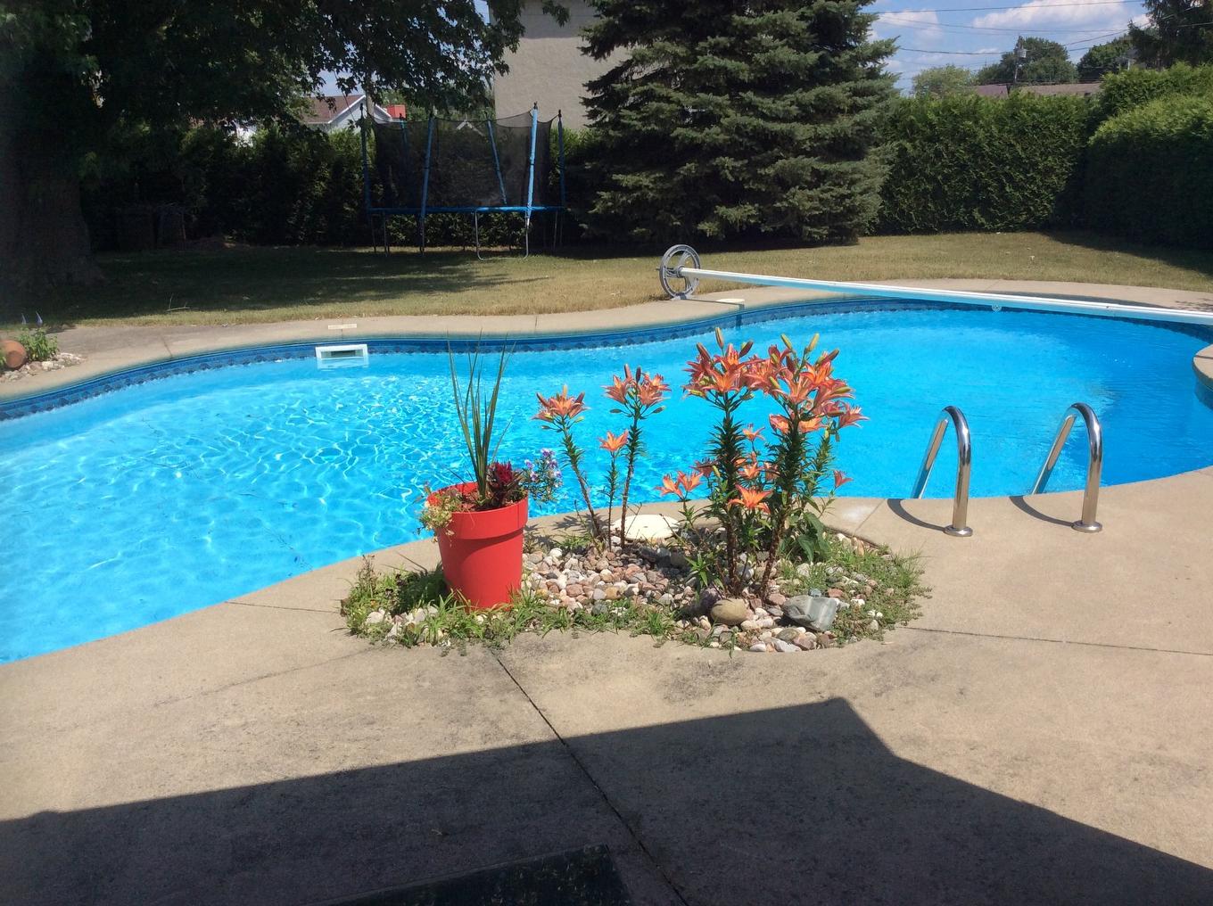 Piscine - 135 Rue Des Citadins S., Farnham, QC - Outdoor With In Ground Pool