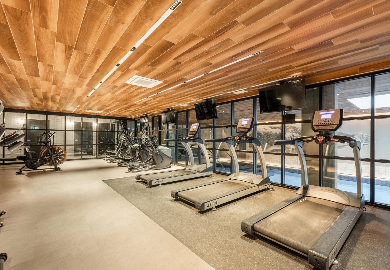 Exercise room - 715-288 Rue Richmond, Montréal (Le Sud-Ouest), QC - Indoor Photo Showing Gym Room