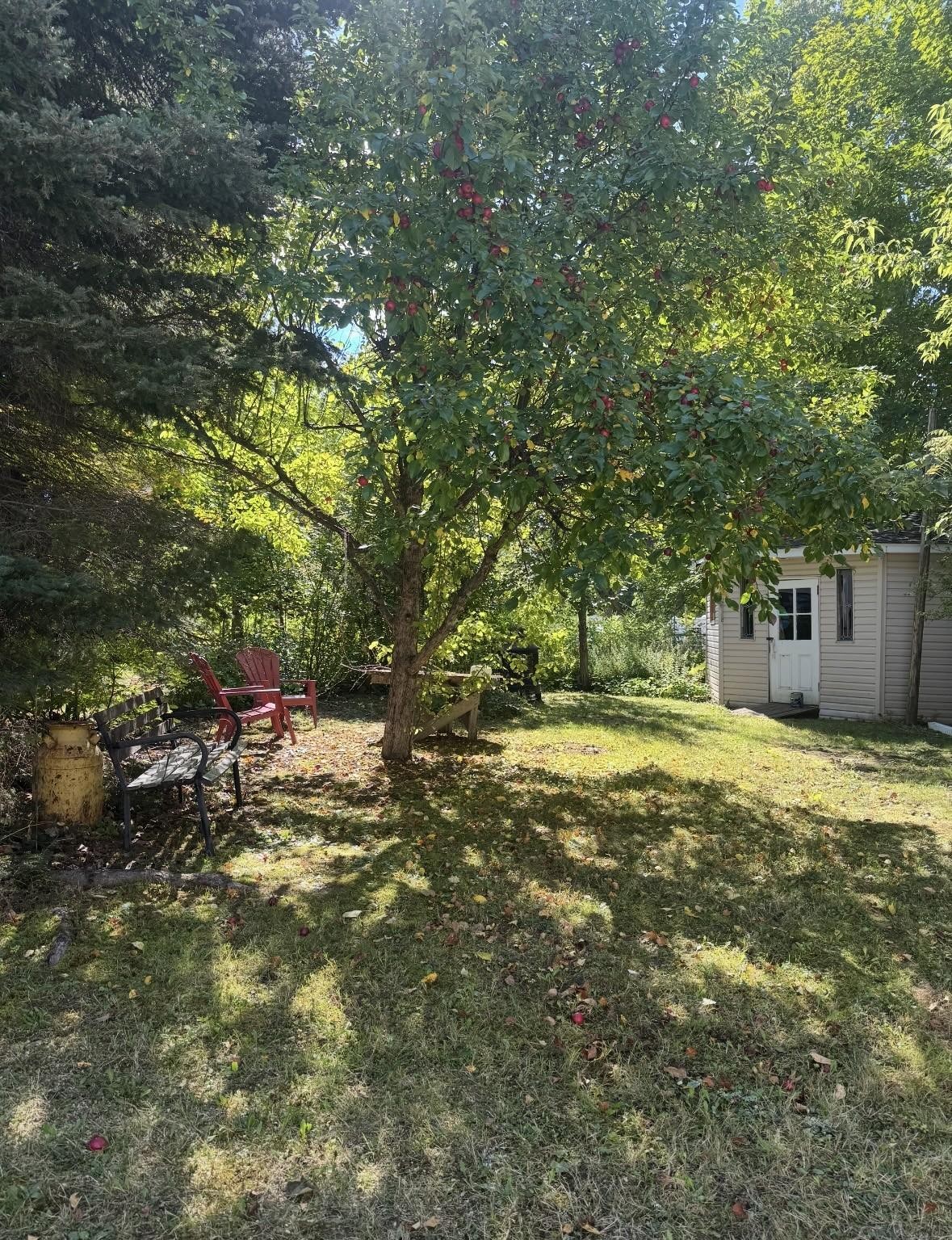 Cour - 394 Rue De La Madone, Mont-Laurier, QC - Outdoor