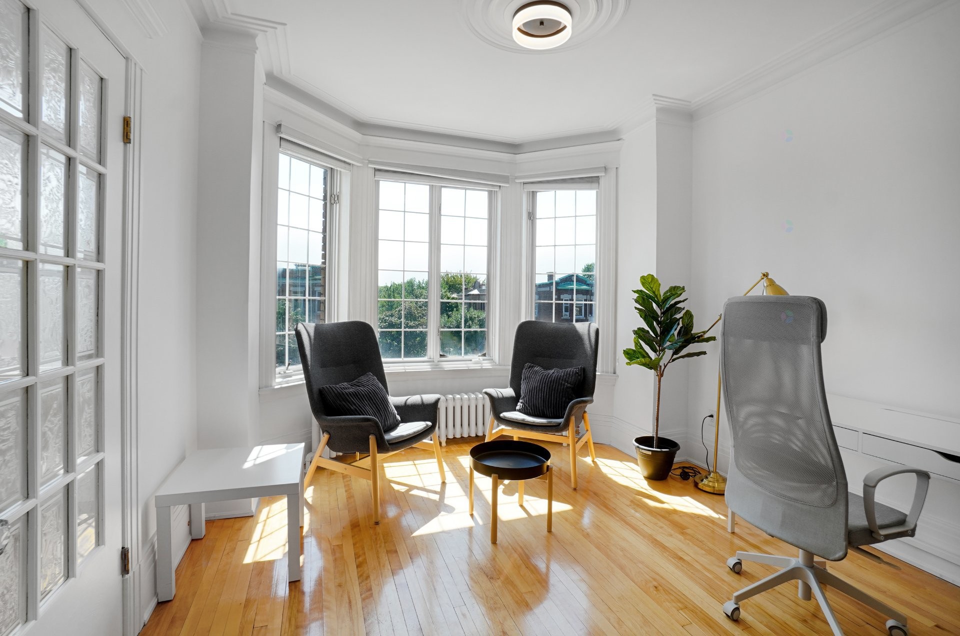 Living Room - 1555 Boul. St-Joseph E., Montréal (Le Plateau-Mont-Royal), QC - Indoor