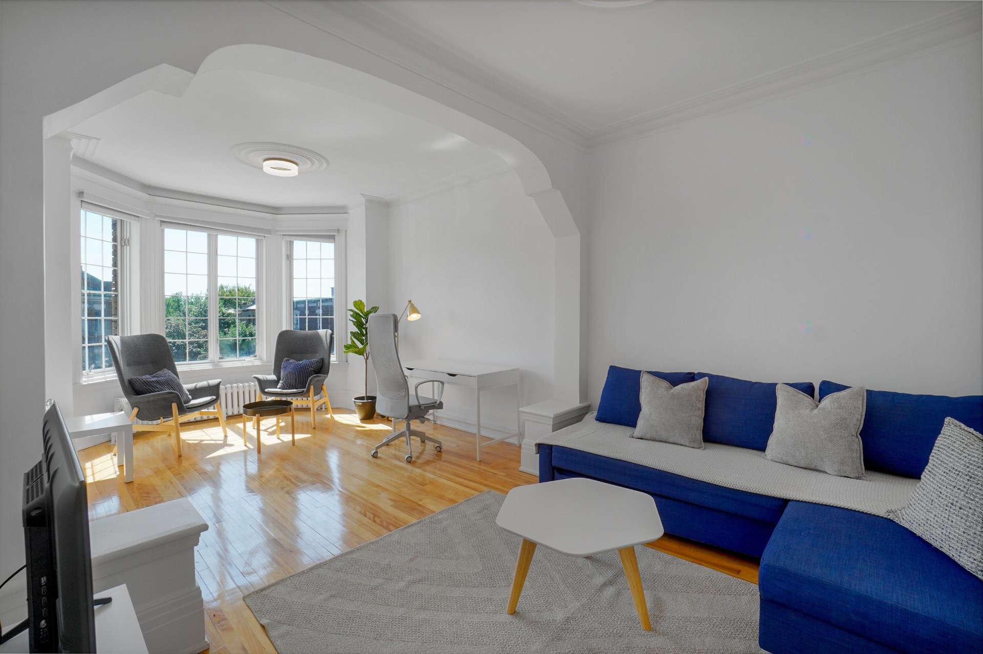 Living Room - 1555 Boul. St-Joseph E., Montréal (Le Plateau-Mont-Royal), QC - Indoor Photo Showing Living Room