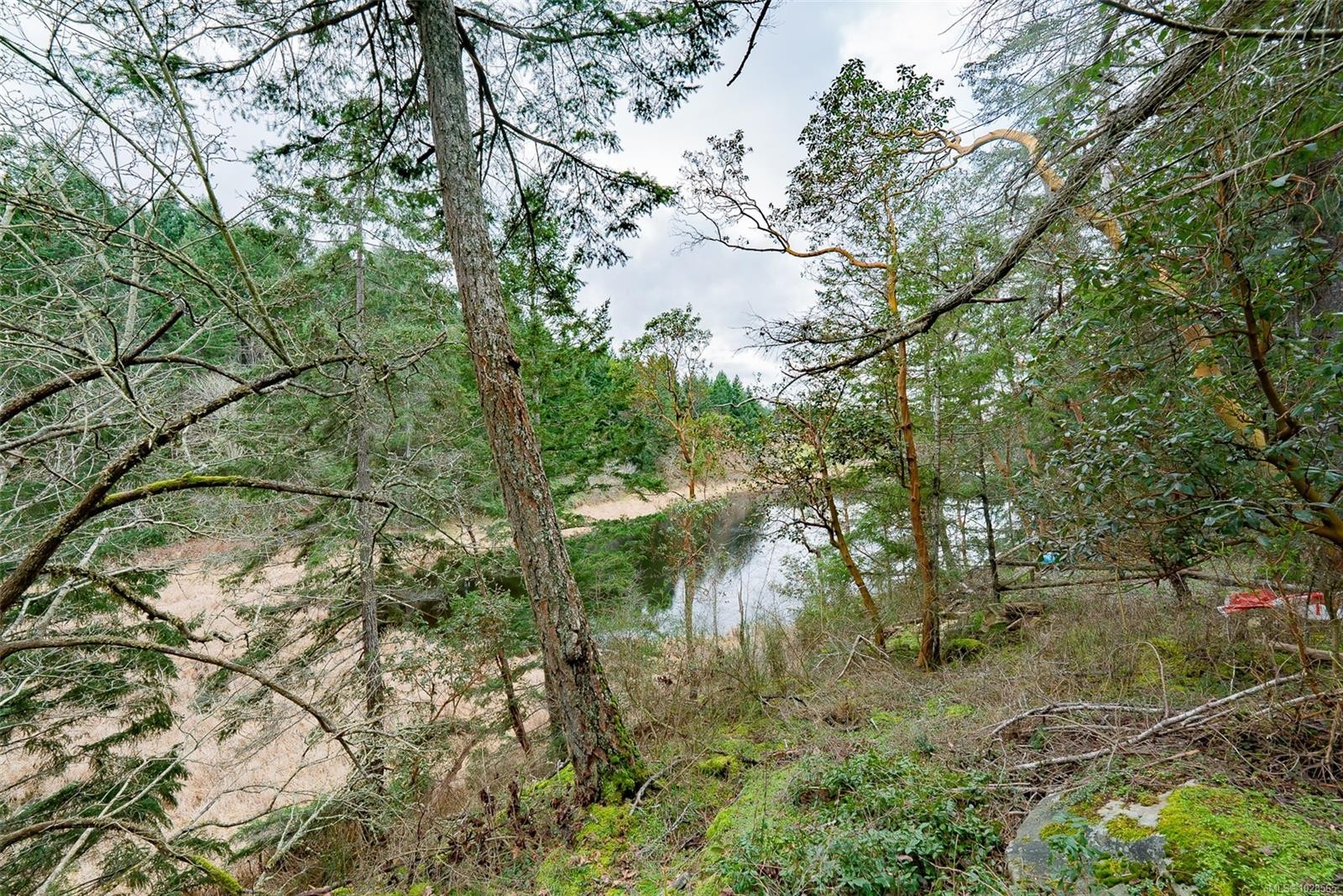 3165 Ingram Rd, Nanaimo, BC