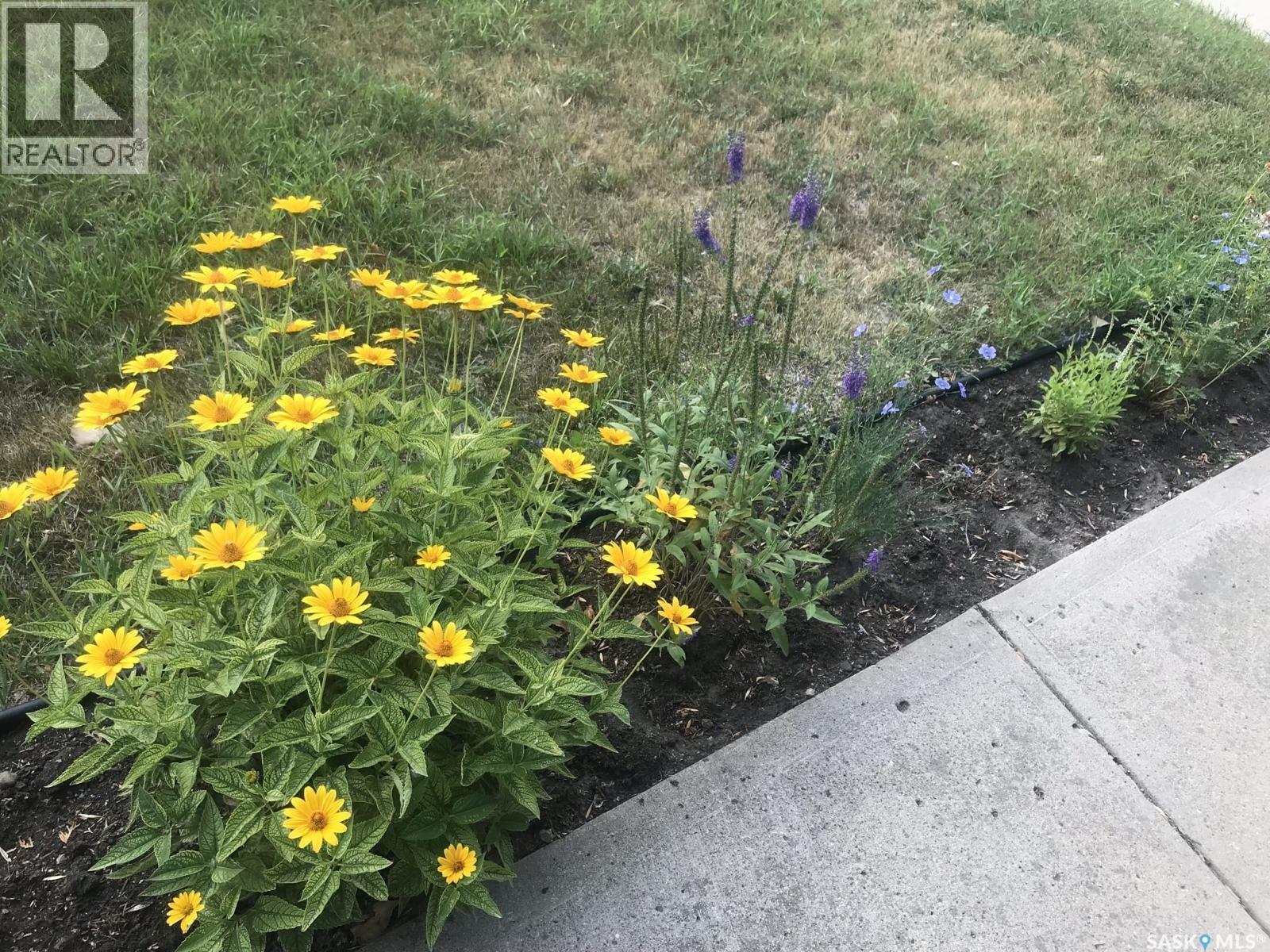 118 Second Street W, Carnduff, SK - Outdoor