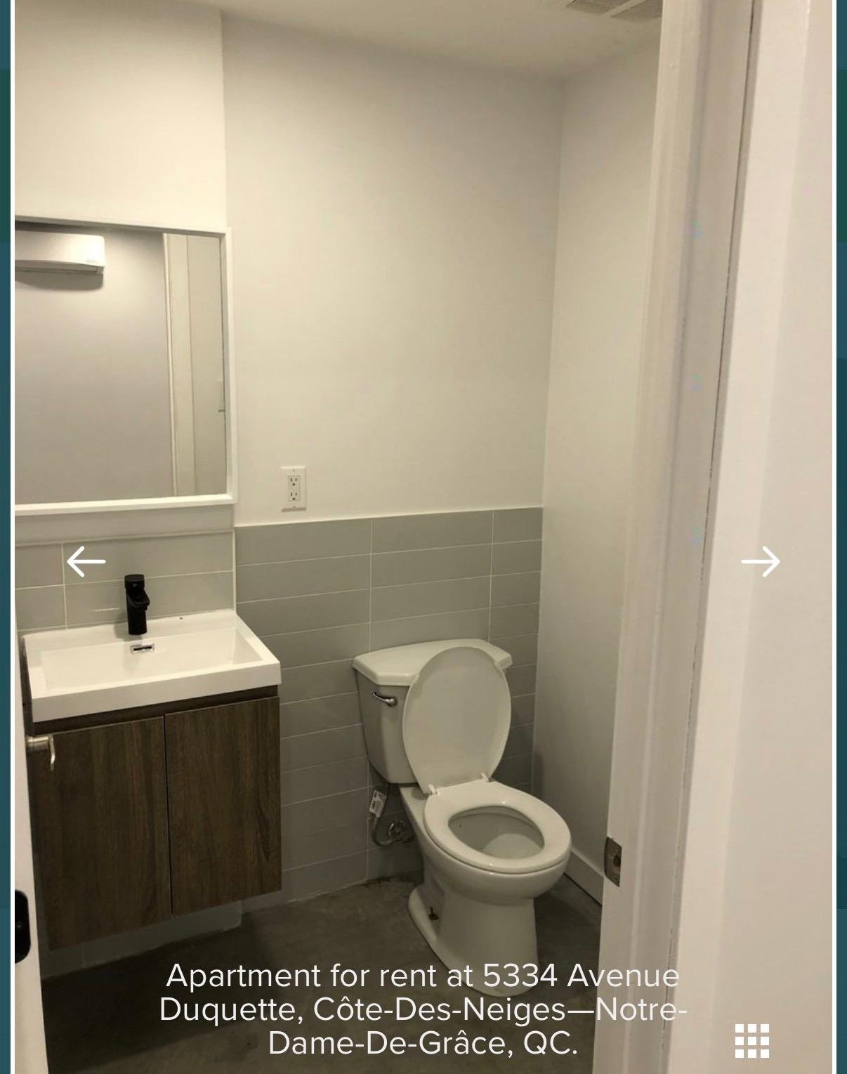 Salle d'eau - 5334 Av. Duquette, Montréal (Côte-Des-Neiges/Notre-Dame-De-Grâce), QC - Indoor Photo Showing Bathroom