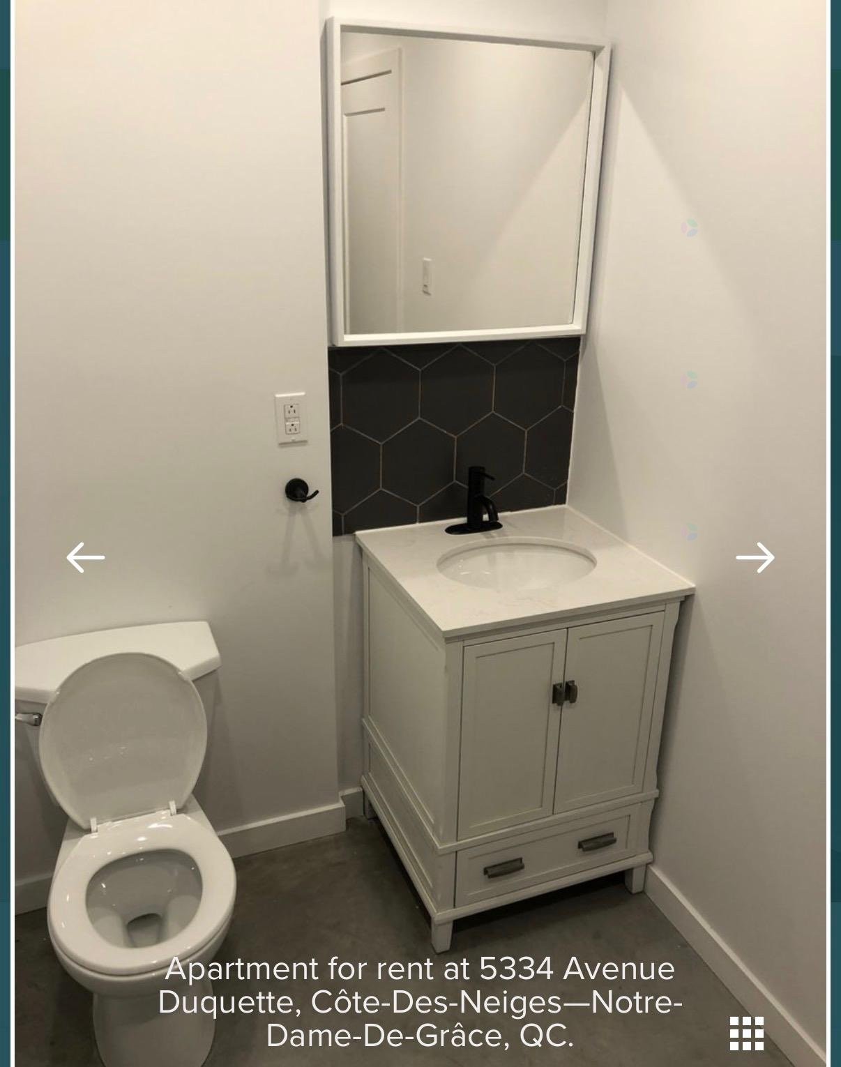 Salle d'eau - 5334 Av. Duquette, Montréal (Côte-Des-Neiges/Notre-Dame-De-Grâce), QC - Indoor Photo Showing Bathroom