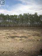 220 7th AVENUE NE Preeceville, SK S0A 3B0