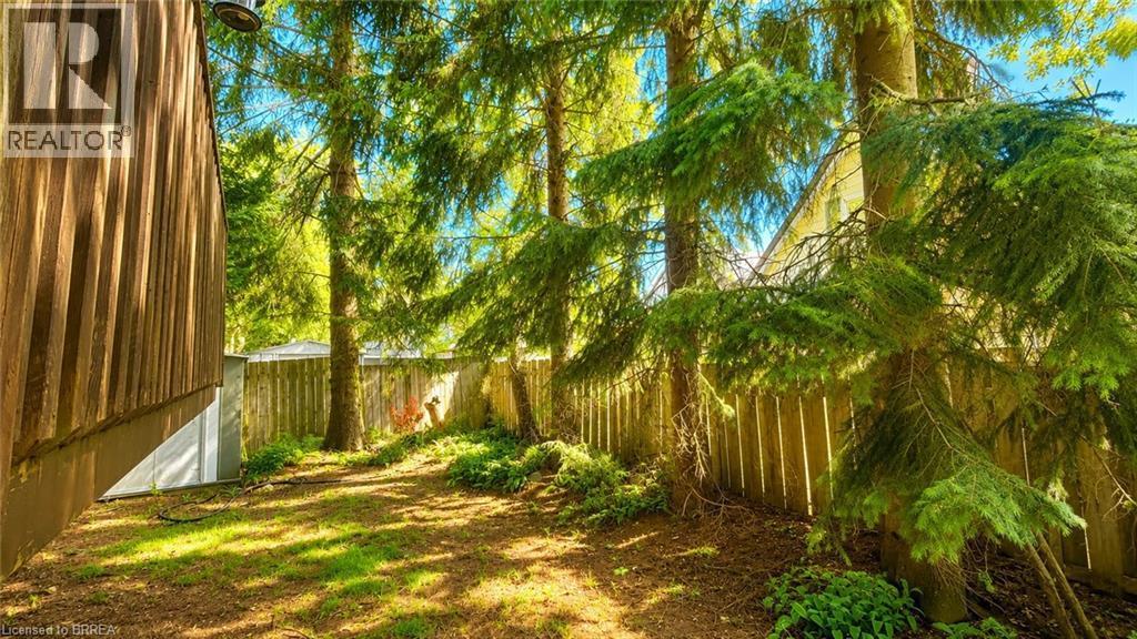 Private backyard space featuring a wood-paneled exterior, mature evergreen trees, a partial privacy fence, and a storage shed - 50 South Drive, Kitchener, ON