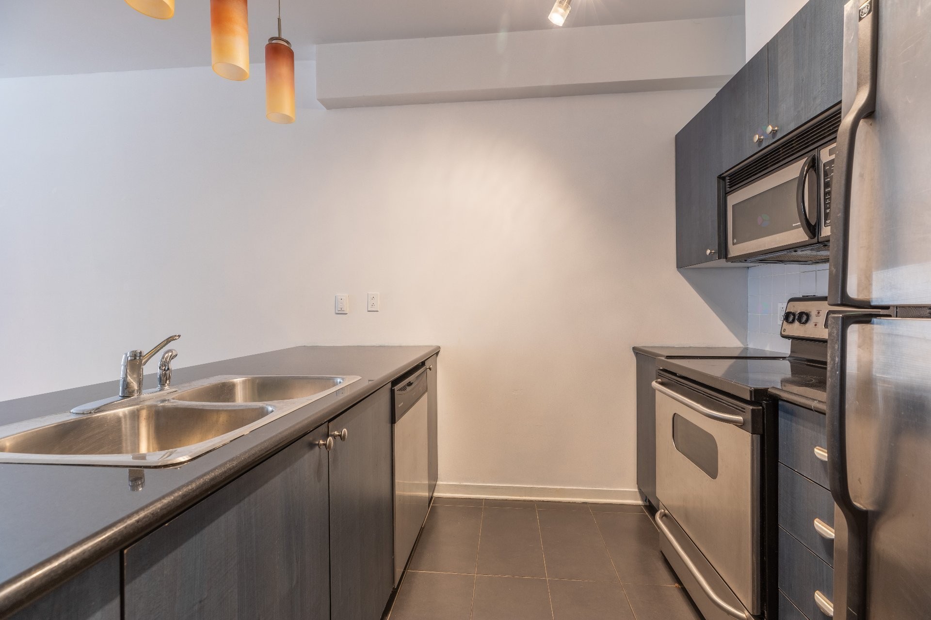 Cuisine - 202-1080 Rue Anderson, Montréal (Ville-Marie), QC - Indoor Photo Showing Kitchen With Double Sink