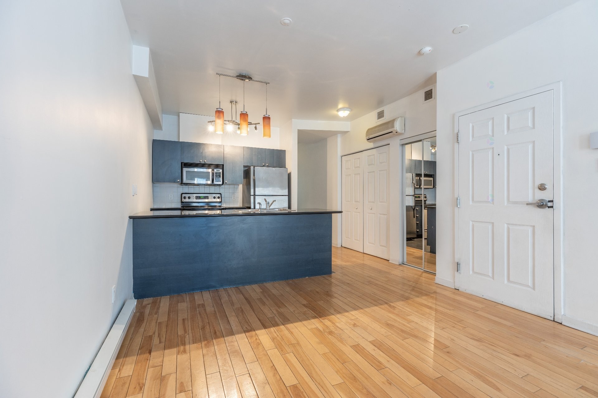 Salon - 202-1080 Rue Anderson, Montréal (Ville-Marie), QC - Indoor Photo Showing Kitchen