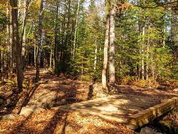 Lot 9 Little Deer Lane Chester Basin, NS B0J 1K0