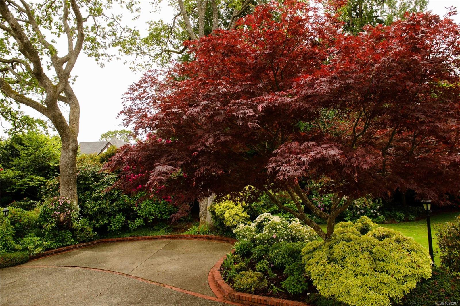 3475 Upper Terrace Rd, Oak Bay, BC