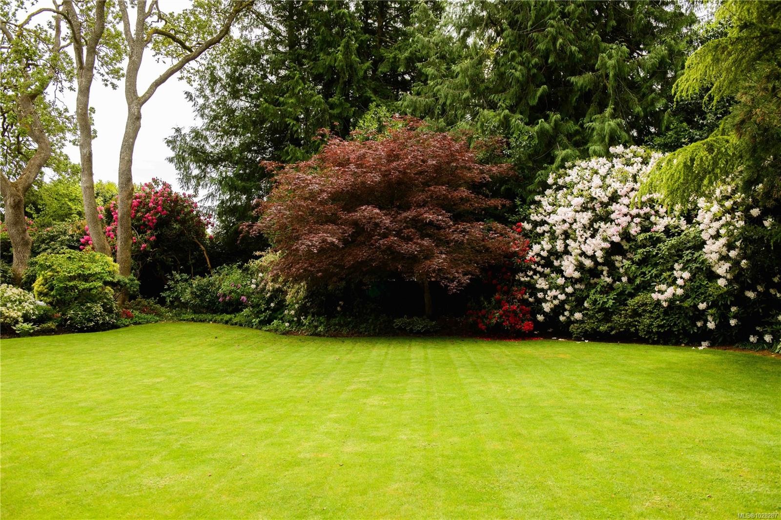 3475 Upper Terrace Rd, Oak Bay, BC