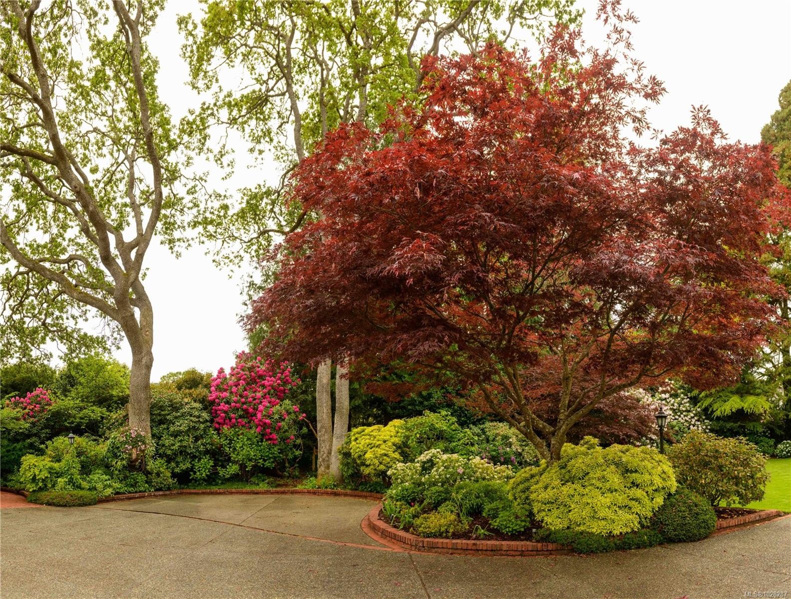 3475 Upper Terrace Rd, Oak Bay, BC