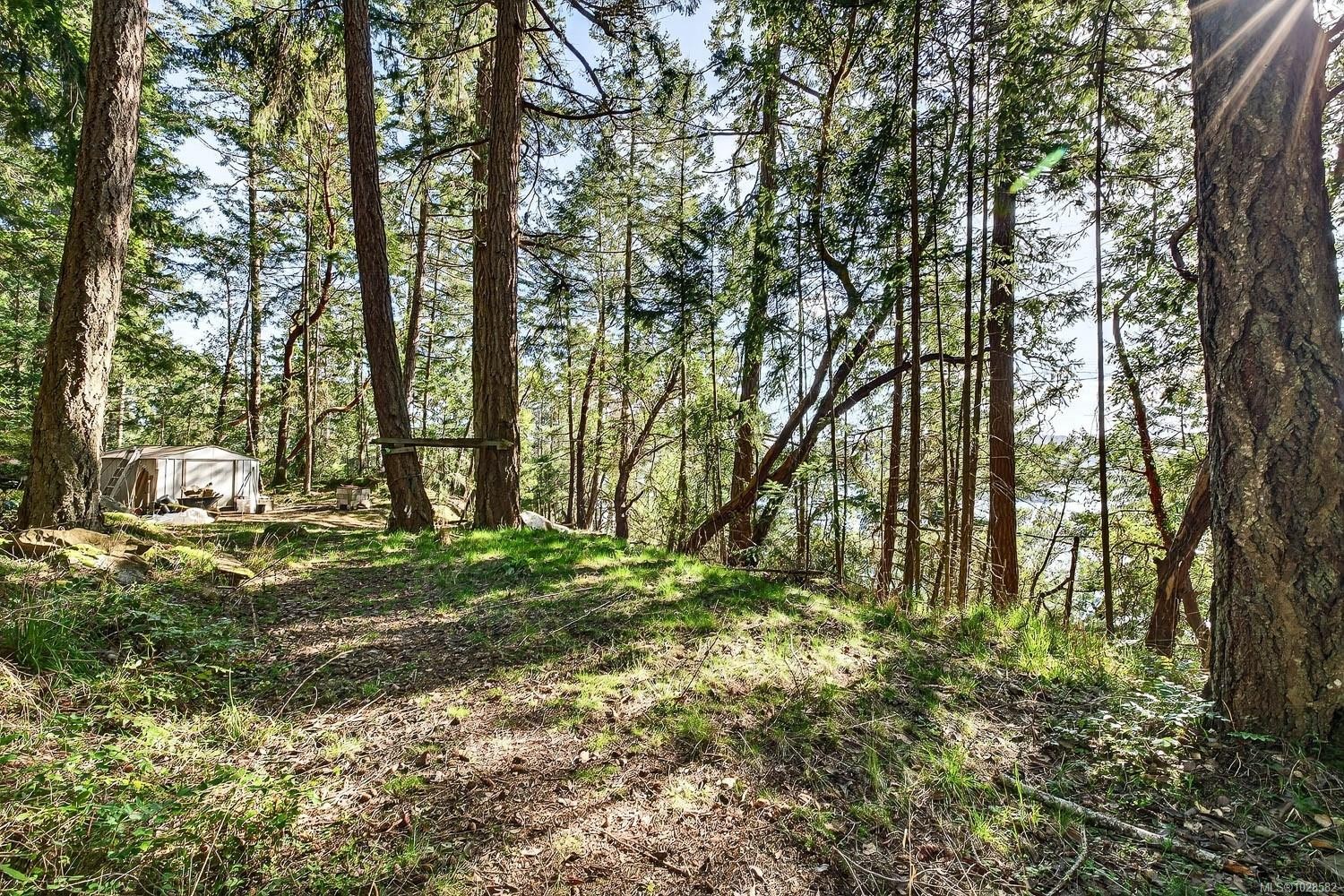 300 Old Scott Rd, Salt Spring, BC