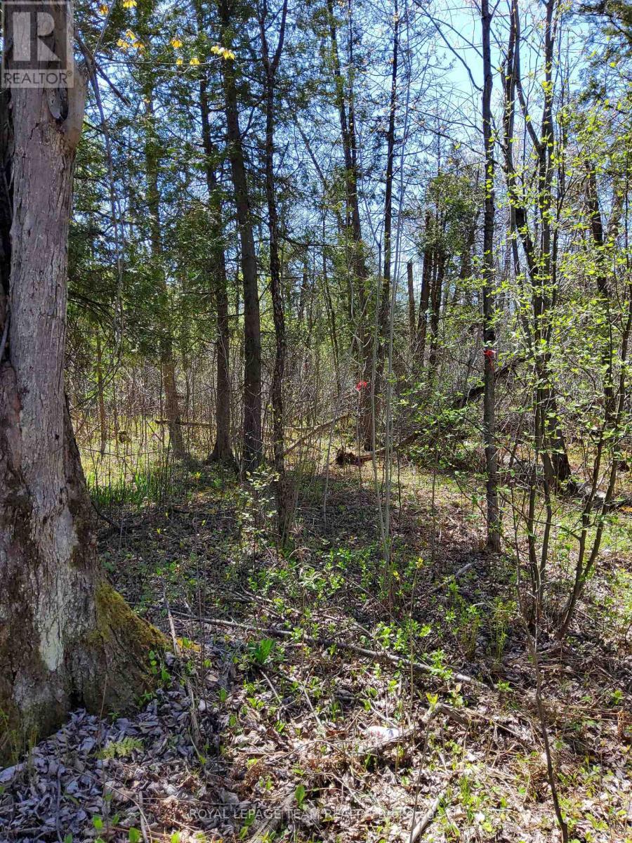 0 Totem Ranch Road, Edwardsburgh/Cardinal, ON