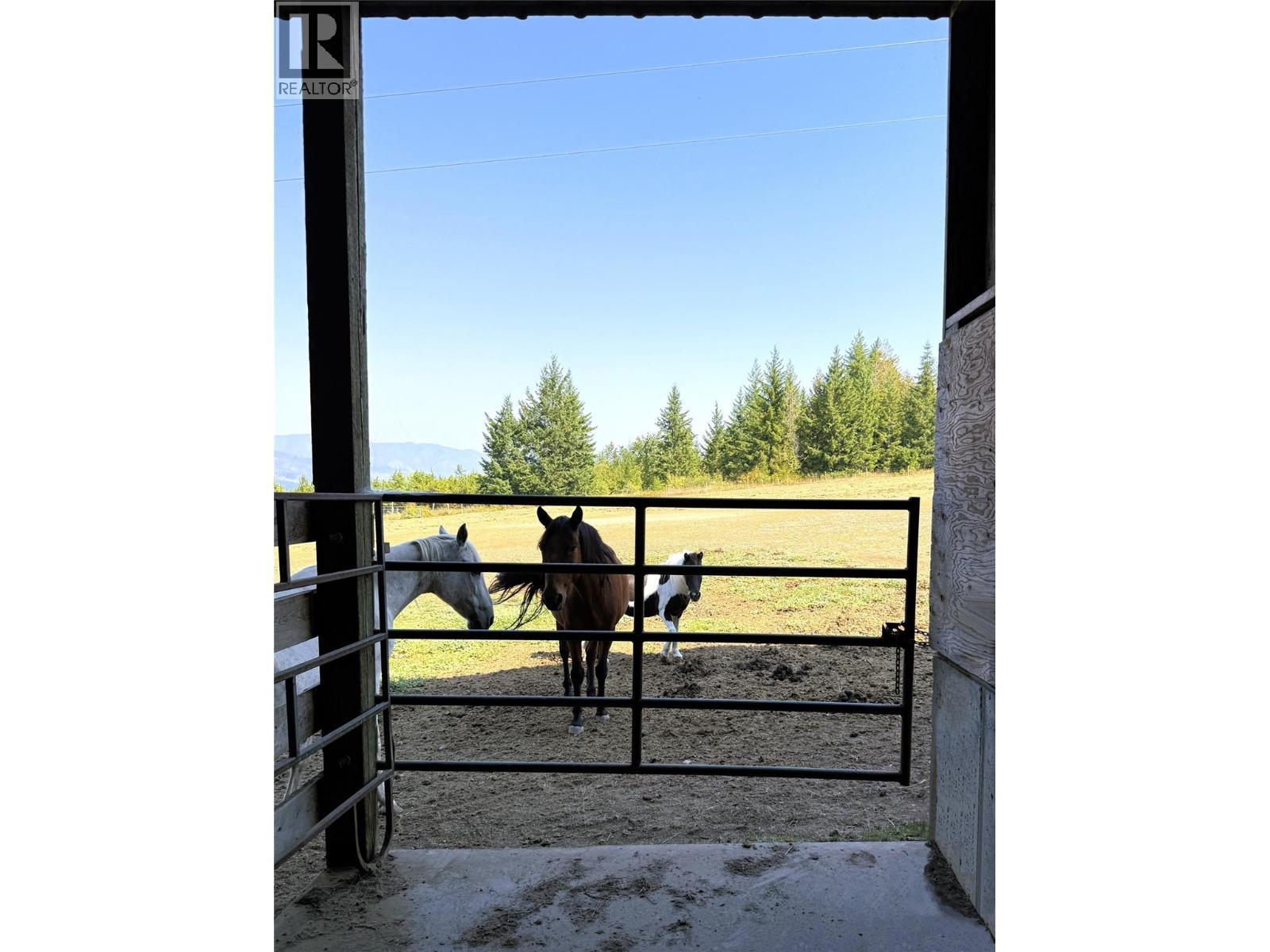 Looking out from loose stall area - 1403 Notch Hill Road, Sorrento, BC - Outdoor