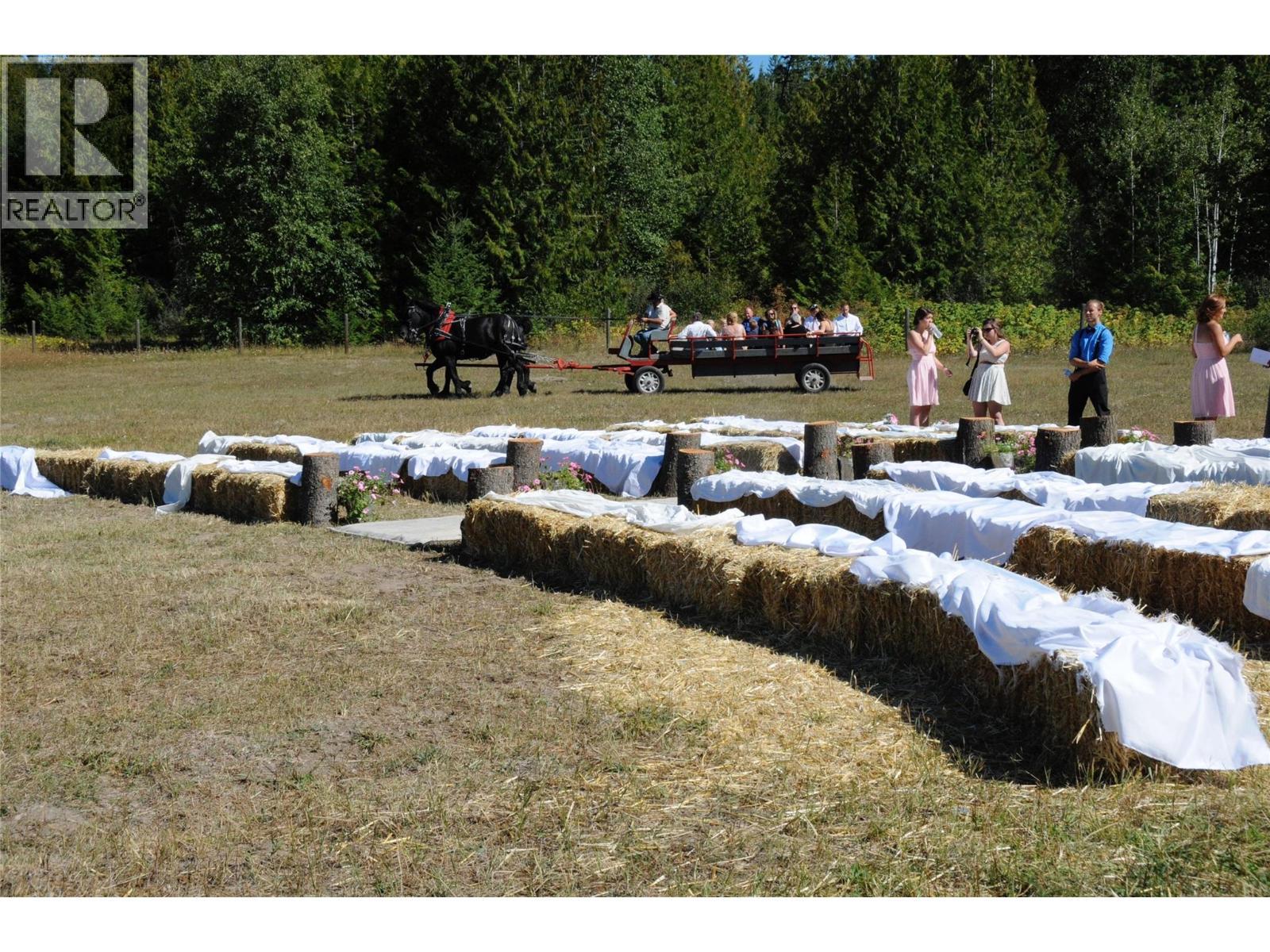 Family wedding in upper pasture - 1403 Notch Hill Road, Sorrento, BC - Outdoor With View