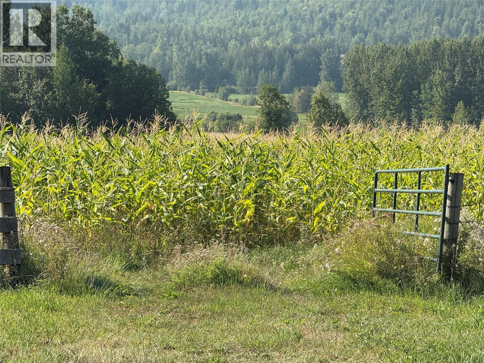 Corn growing in lower fields - 1403 Notch Hill Road, Sorrento, BC - Outdoor With View
