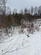 LOT 0 COUNTY ROAD 38 Frontenac (Frontenac Centre), ON K0H 2P0