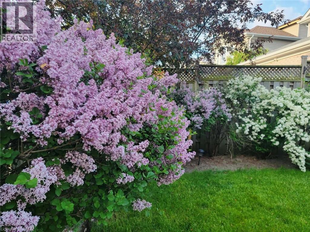 31 Adler Drive, Cambridge, ON - Outdoor